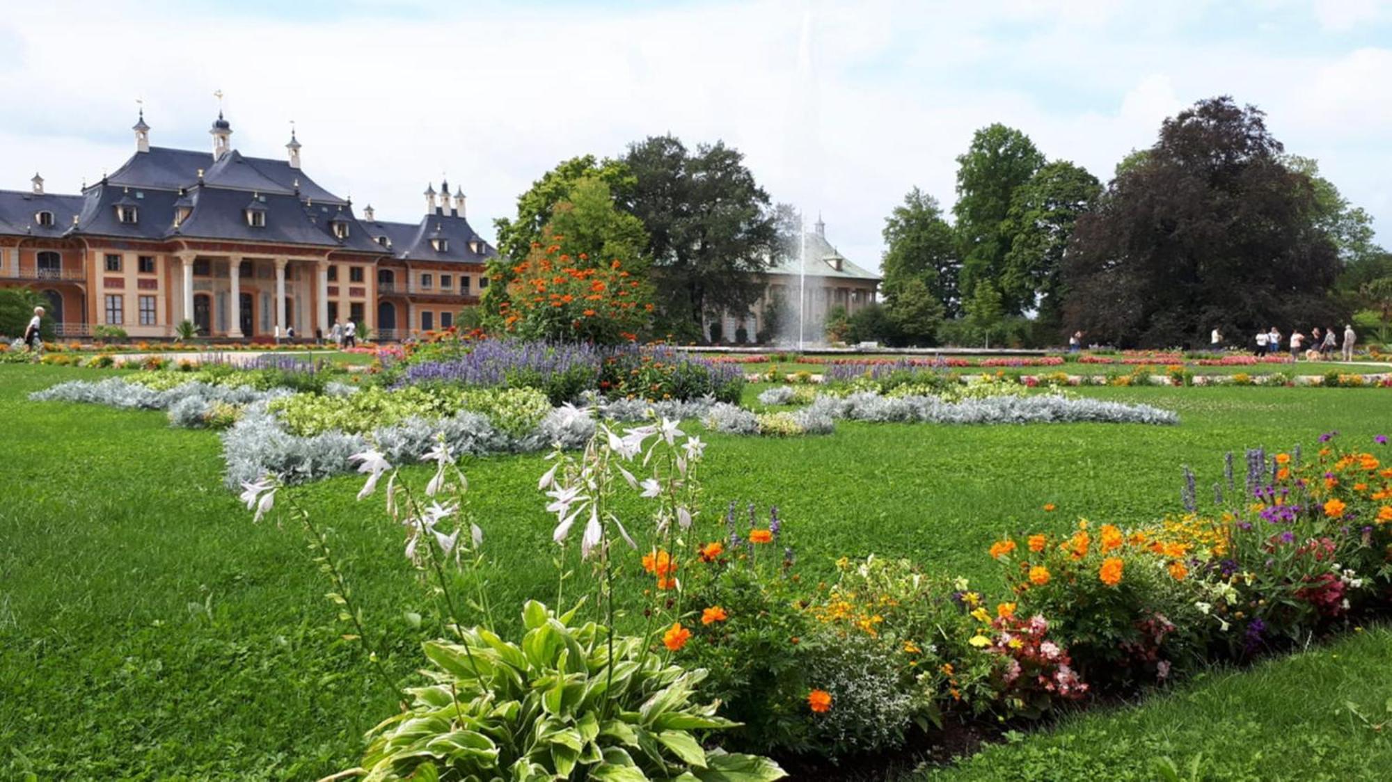 Ferienwohung In Dresden Am Elbhang Esterno foto